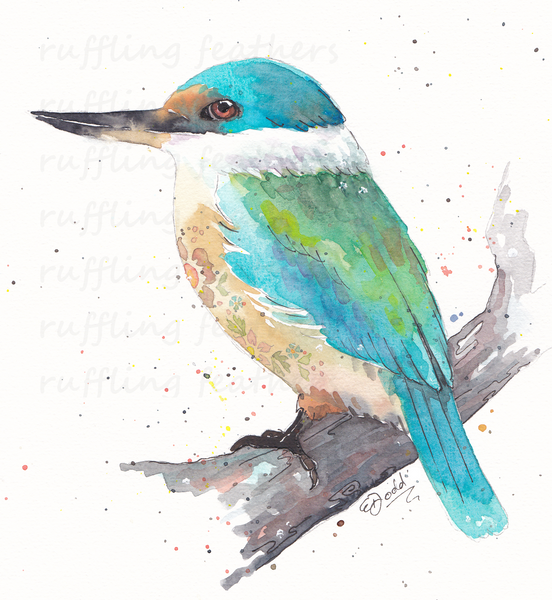 Christmas Card - Kotare (NZ Sacred Kingfisher)