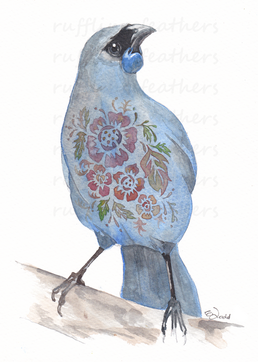 Christmas Card - Kokako