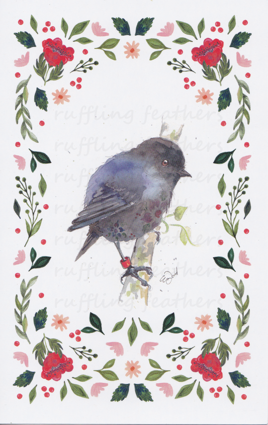Christmas Card - Karure (NZ Black Robin)