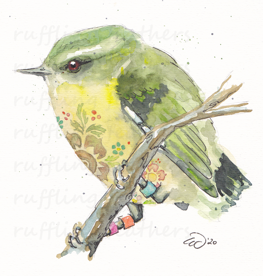 Christmas Card - Titipounamu