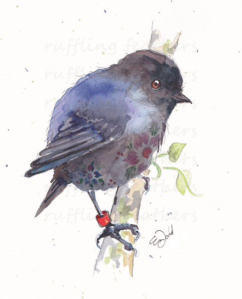 Christmas Card - Karure (NZ Black Robin)