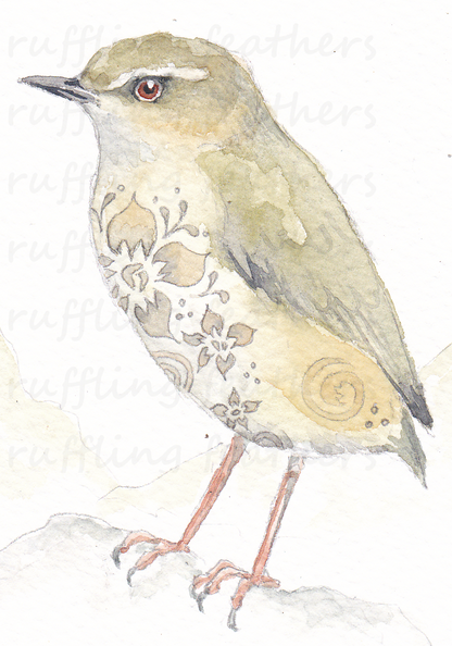 Christmas Card - Piwauwau (NZ Rock Wren)