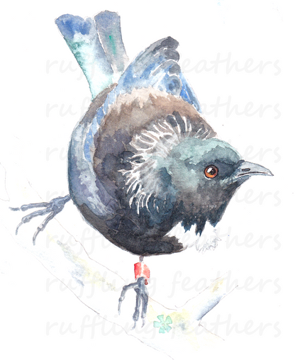 Christmas Card - Tui